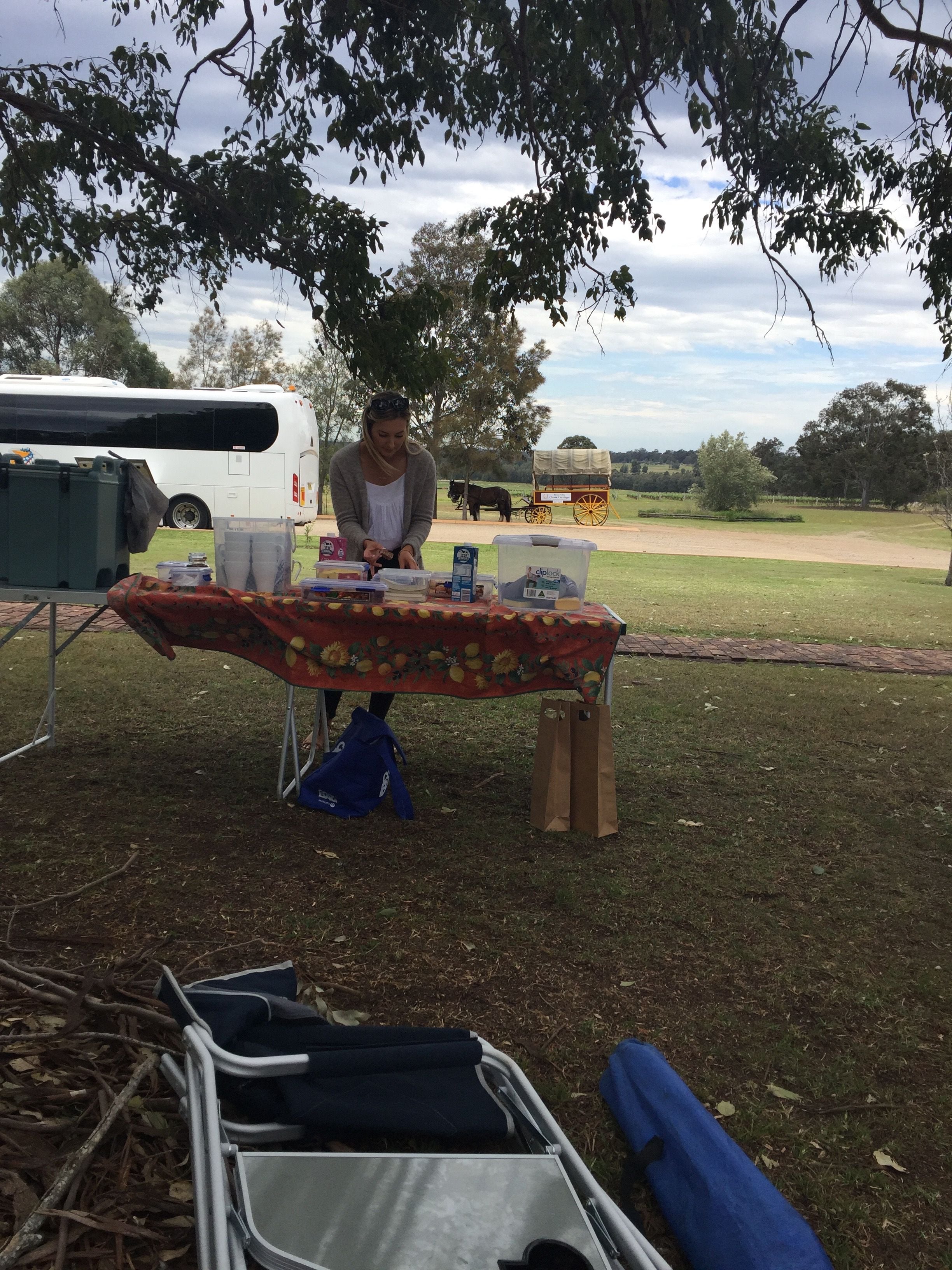 Hunter Valley Vineyard Group Bus Trips Image -5b1f32ef37488